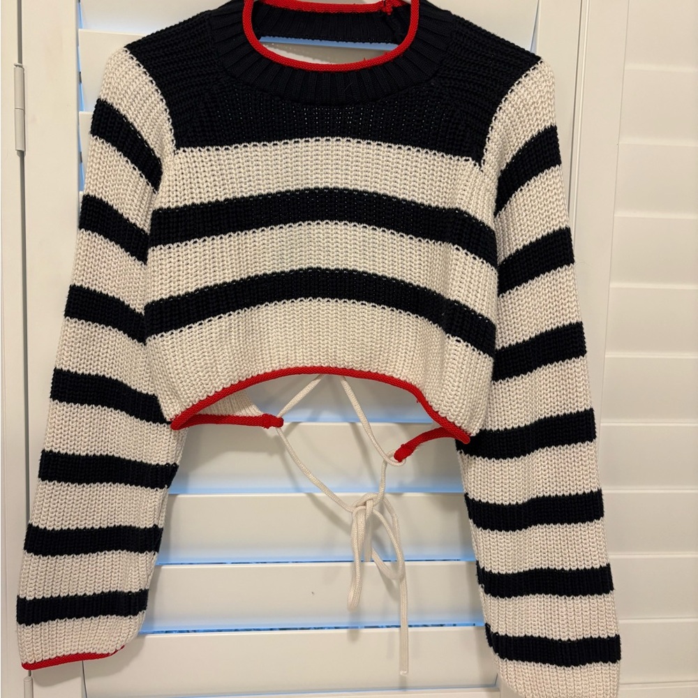 Zara Cropped Sweater (Open Back)